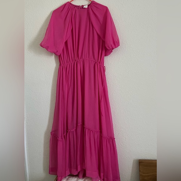 H&M Chiffon Cerise Maxi Dress Long Dress Sz M - Picture 2 of 15